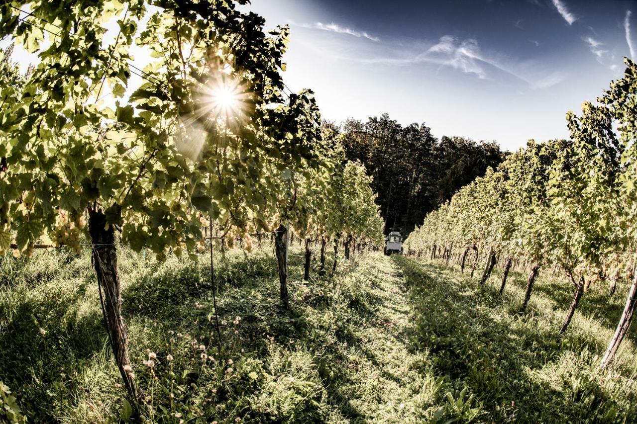 Winzerhäuser J&A Skringer Leutschach Exterior foto